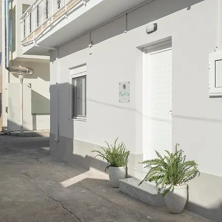 Fofi's Elegant